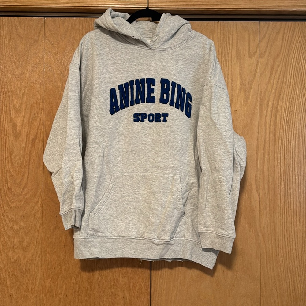 Anine Bing Tyler Hoodie